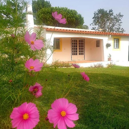 Sondela Self Catering Villa São Martinho do Porto Exterior foto