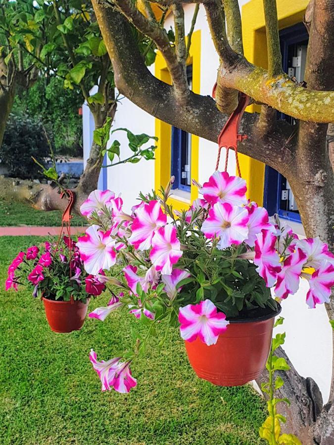 Sondela Self Catering Villa São Martinho do Porto Exterior foto