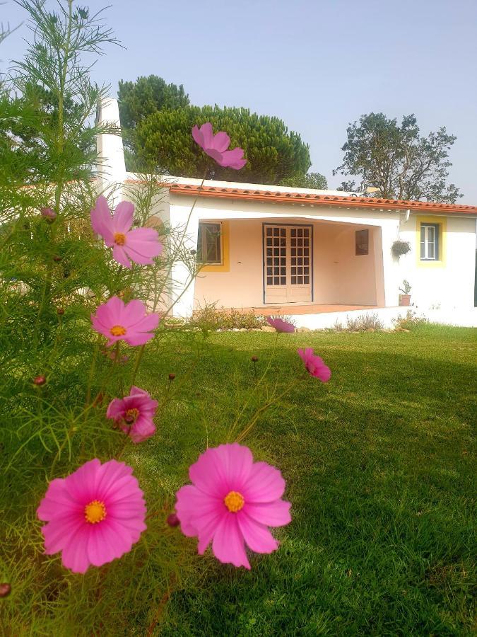 Sondela Self Catering Villa São Martinho do Porto Exterior foto