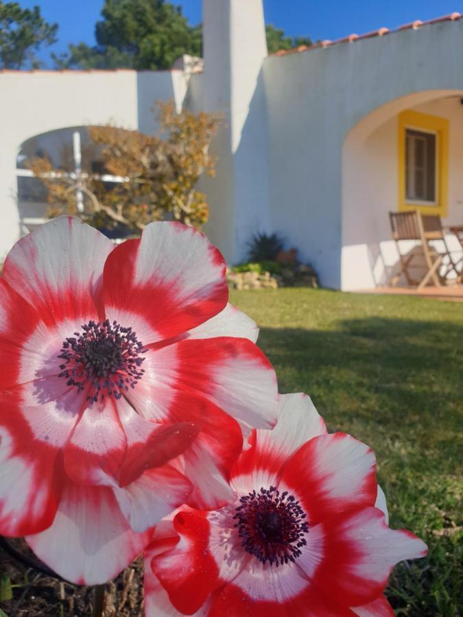 Sondela Self Catering Villa São Martinho do Porto Exterior foto