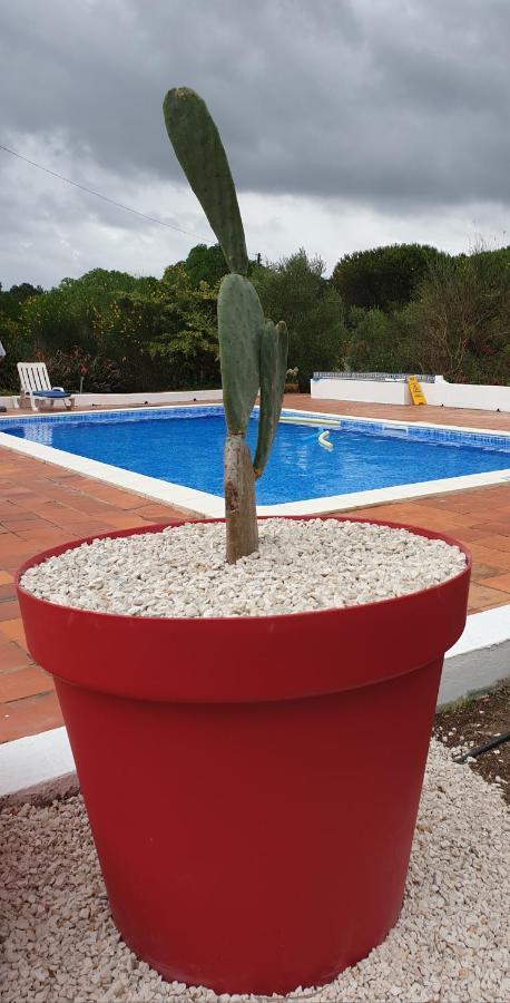 Sondela Self Catering Villa São Martinho do Porto Exterior foto